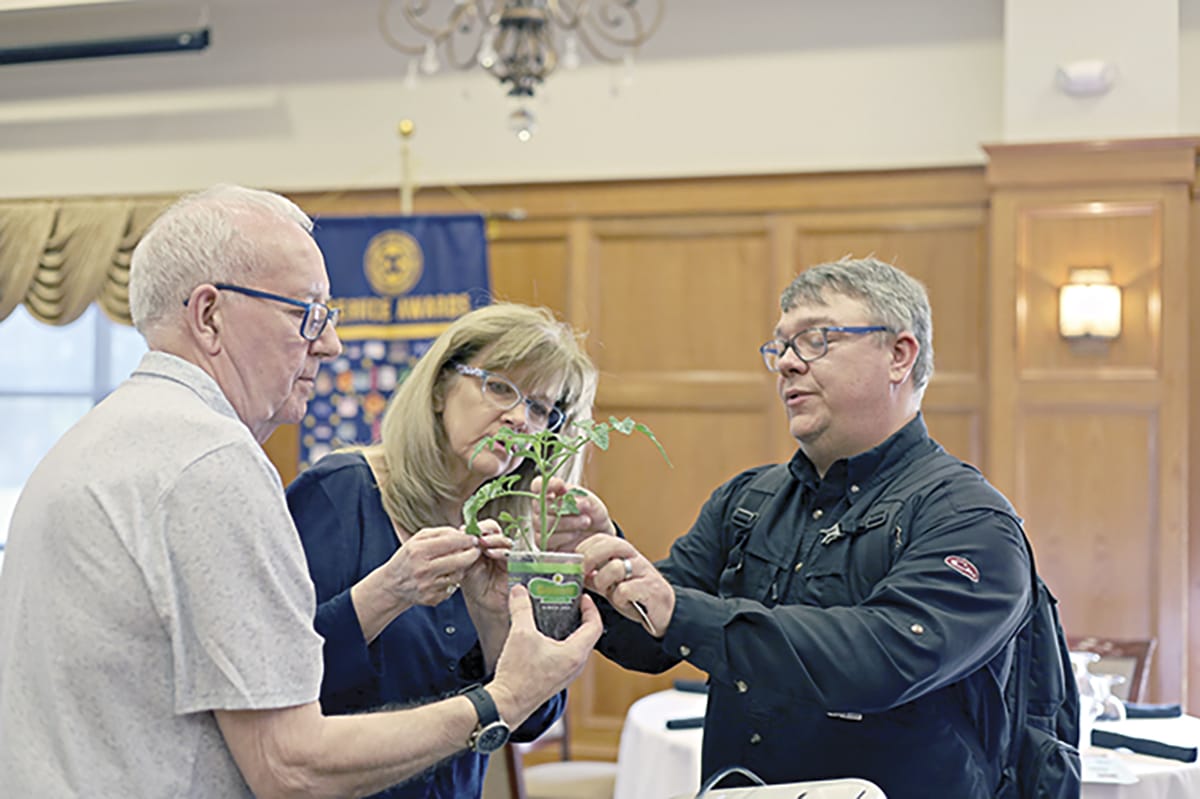 Area gardeners get head start on tomato season